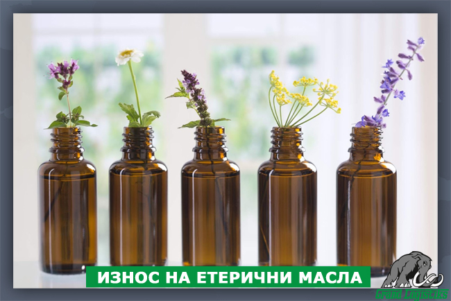 ИЗНОС НА ЕТЕРИЧНИ МАСЛА ИЗНОС НА ЕТЕРИЧНИ МАСЛА