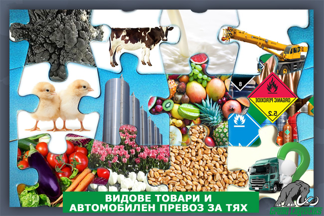 Видове товари и автомобилен превоз за тях Видове товари и автомобилен превоз за тях